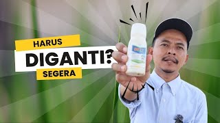 Is Belt Expert Insecticide Still Effective for Stem Borers? Is Belt Expert Insecticide Still Effective for Stem Borers?