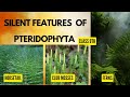 Pteridophyta (ferns) |Characteristic features with examples |class 9th #ncert in 2minutes #botany