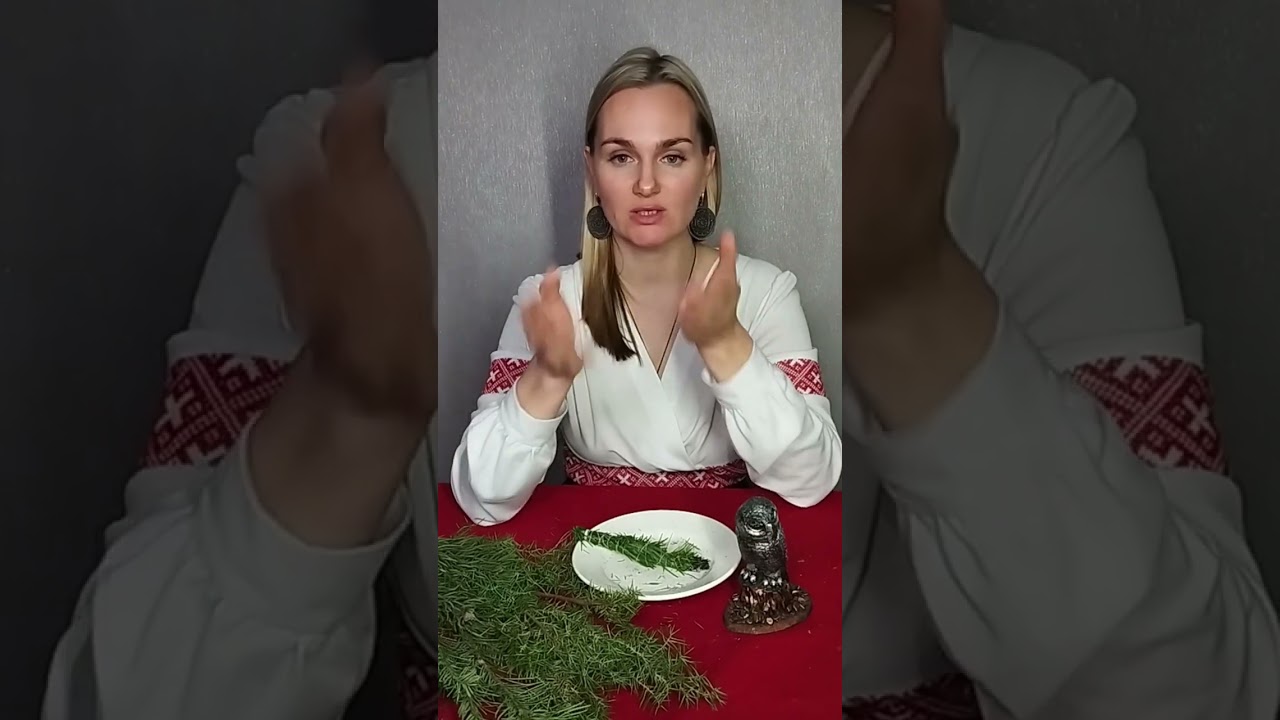 Можжевельник в ритуально-обрядовой практике / травничество 🌿