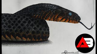 Realistic Snake Painting | Colour Pencil Drawing | Timelapse  AB Naveen art