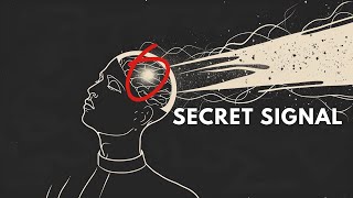 The Secret Truth Behind Synchronicities: How the Universe Speaks to You