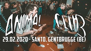 ANIMAL CLUB @ Santo, Gentbrugge (29.02.2020) - FULL SET