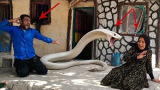 Wild nature and snake attack, Soheila's disappearance, Ahmad's brave search