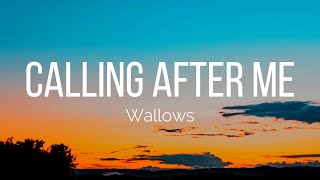 Wallows - Calling After Me (Lyrics)