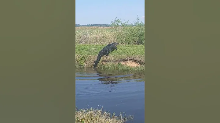 normal day in Florida