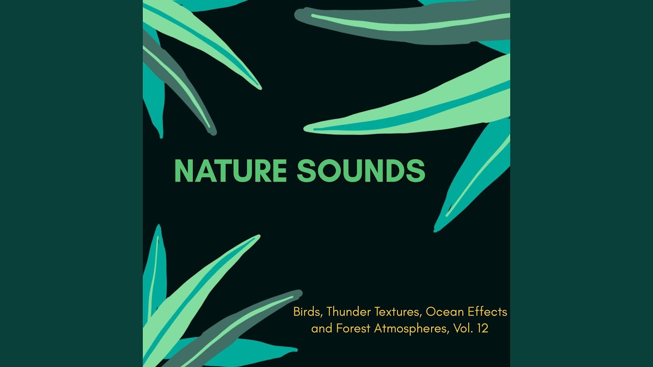 Space Texture Orchestral Bass