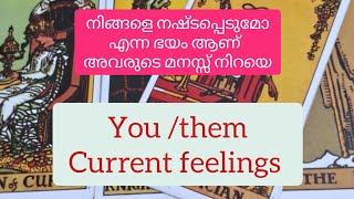 🥰you/them current feelings of your person🥰malayalam tarot card reading😌 timeless reading 🥰