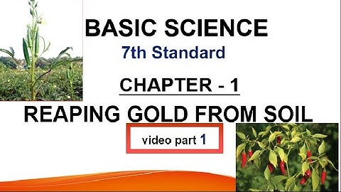 Basic science 7th standard  Reaping Gold from Soil - Video Part 1 | മണ്ണിൽ പൊന്നുവിളയിക്കാം