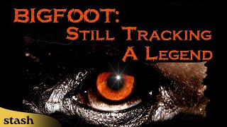 Bigfoot: Still Tracking A Legend | Documentary | Full Movie | Cryptozoology