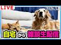 自宅から雑談ライブ！