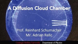 A Diffusion Cloud Chamber