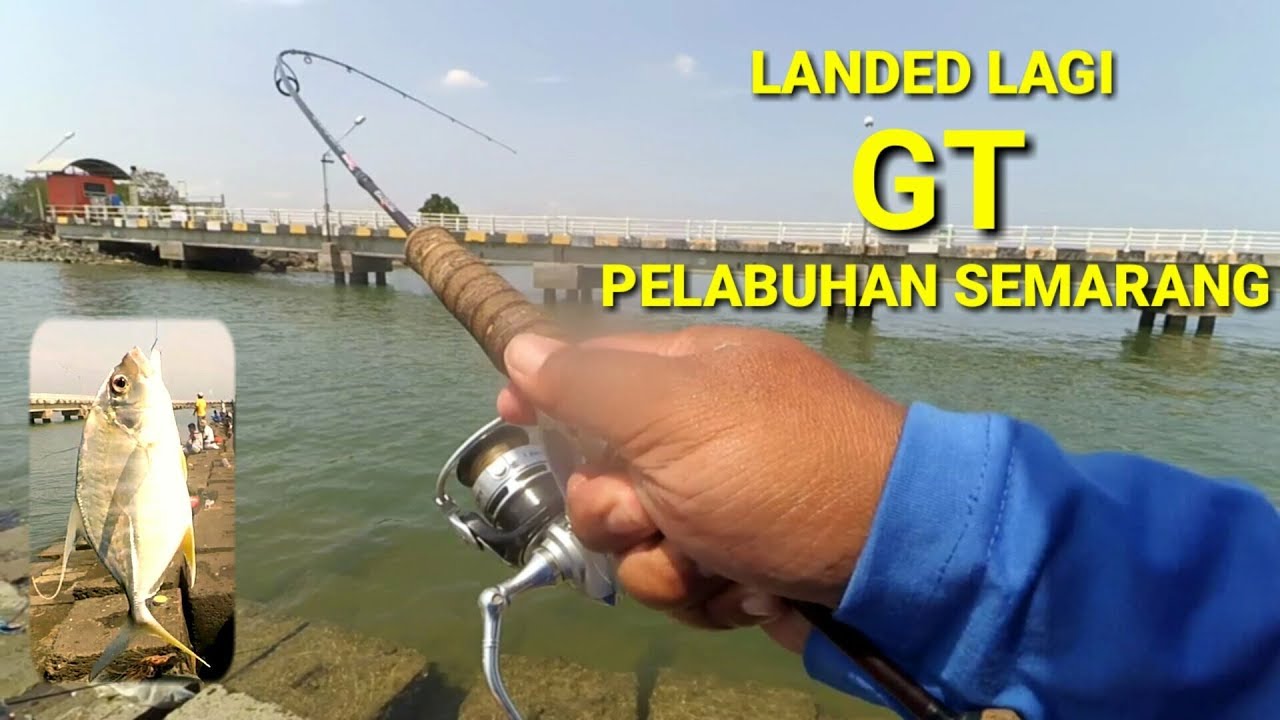 GT Yang Membuat Ketagihan di Dam Tahu Semarang