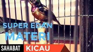 Konin Gacor Isian Paling Sadis Super Edan