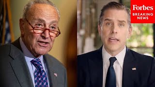 JUST IN: Schumer Asked Point Blank About Hunter Biden Controversy, New Plea Deal