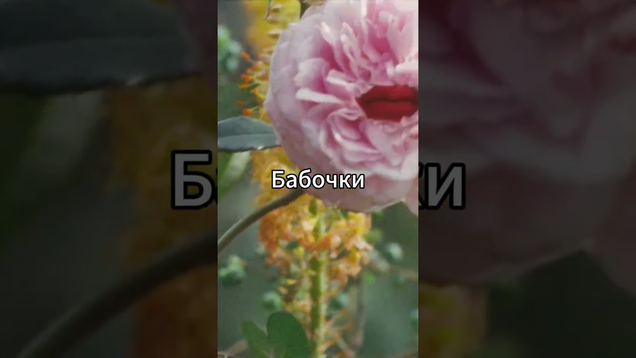 ПОЛНЫЙ ПЕРЕВОД НА КАНАЛЕ CHAEYOUNG - SHOOT (FIRECRACKER) 