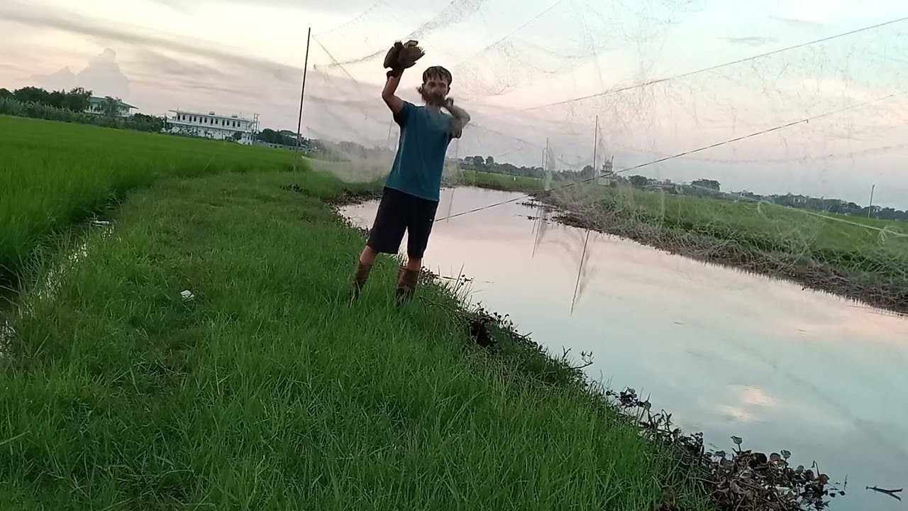 buổi tiếp theo đánh chim đêm 2024