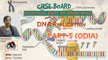 [PART-5] REPLICATION OF DNA | MOLECULAR BASIS OF INHERITANCE | CHSE BOARD |12th BIOLOGY,(ODIA)