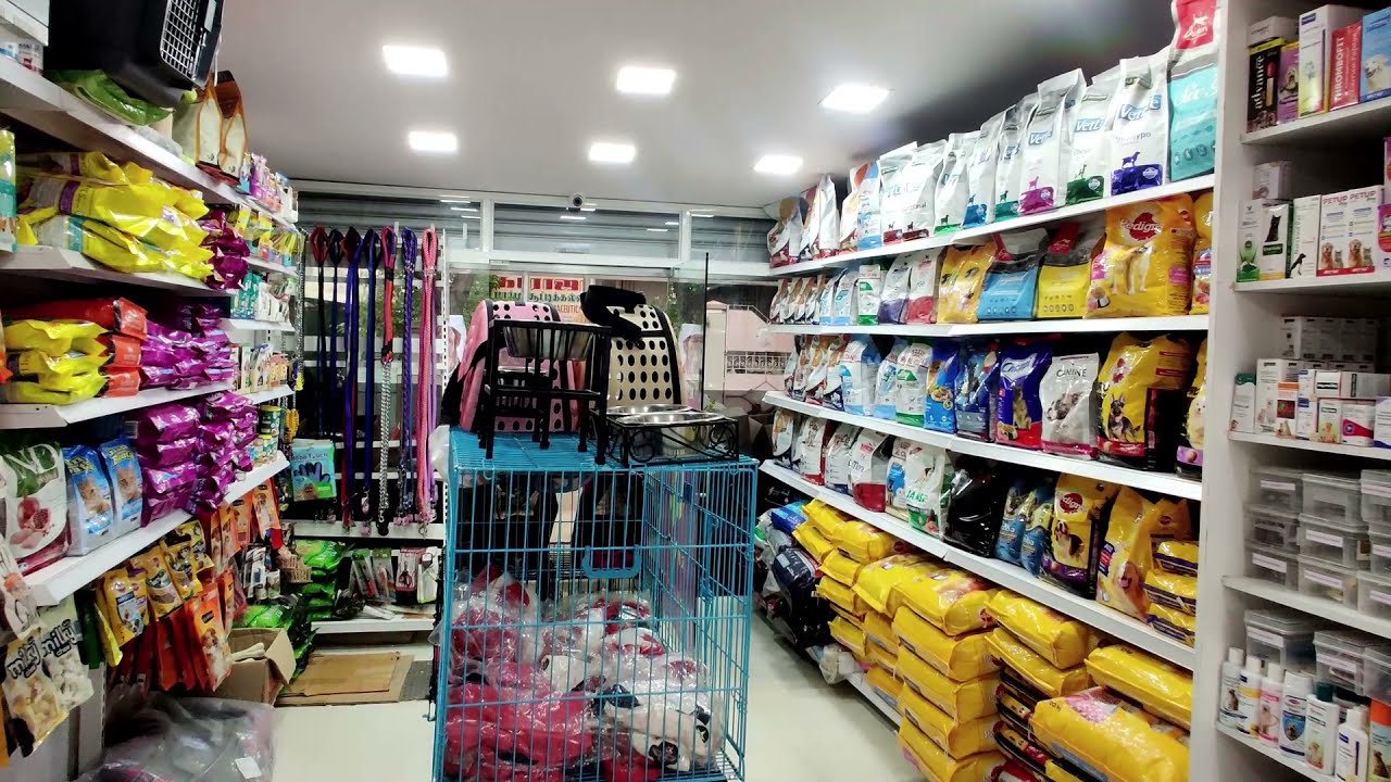 Best Pet Shop in Trichy | Pet Accessories | Pet Foods | Pet Clinic Trichy | Pet Pluz