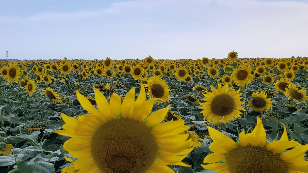 Wow What a Day! New Music a Trip to Oklahoma Some Food and an Enormous