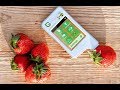 Нитрат тестер с Алиэкспресс Топ 5 AliExpress Greentest Полезные гаджеты для кухни #Здоровье