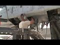 A10 warthog reloading the big gun