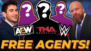 Hottest Wrestling Free Agents Of 2024 Revealed!