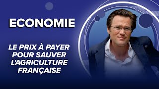 Le prix à payer pour sauver l'agriculture française