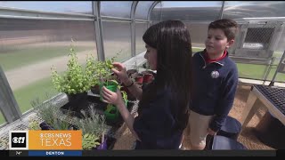 North Texas students show off their green thumbs