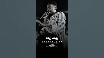 نبض قلبنا الفنان محمد جمال 2025 Foryou اكسبلور اغاني نوبي سوداني 