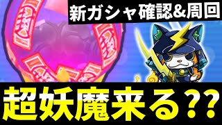 魔球の配信のサムネイル画像