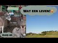 Genieten van het uitzicht vlog 40