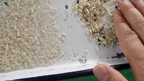 SG rice color sorter/rice sorting machine