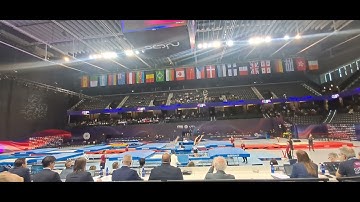 2025 IVAN LITVINOVICH & ANDREI BUILOU SYNCHRO WORLD CHAMPIONSHIPS TRAMPOLINE 
