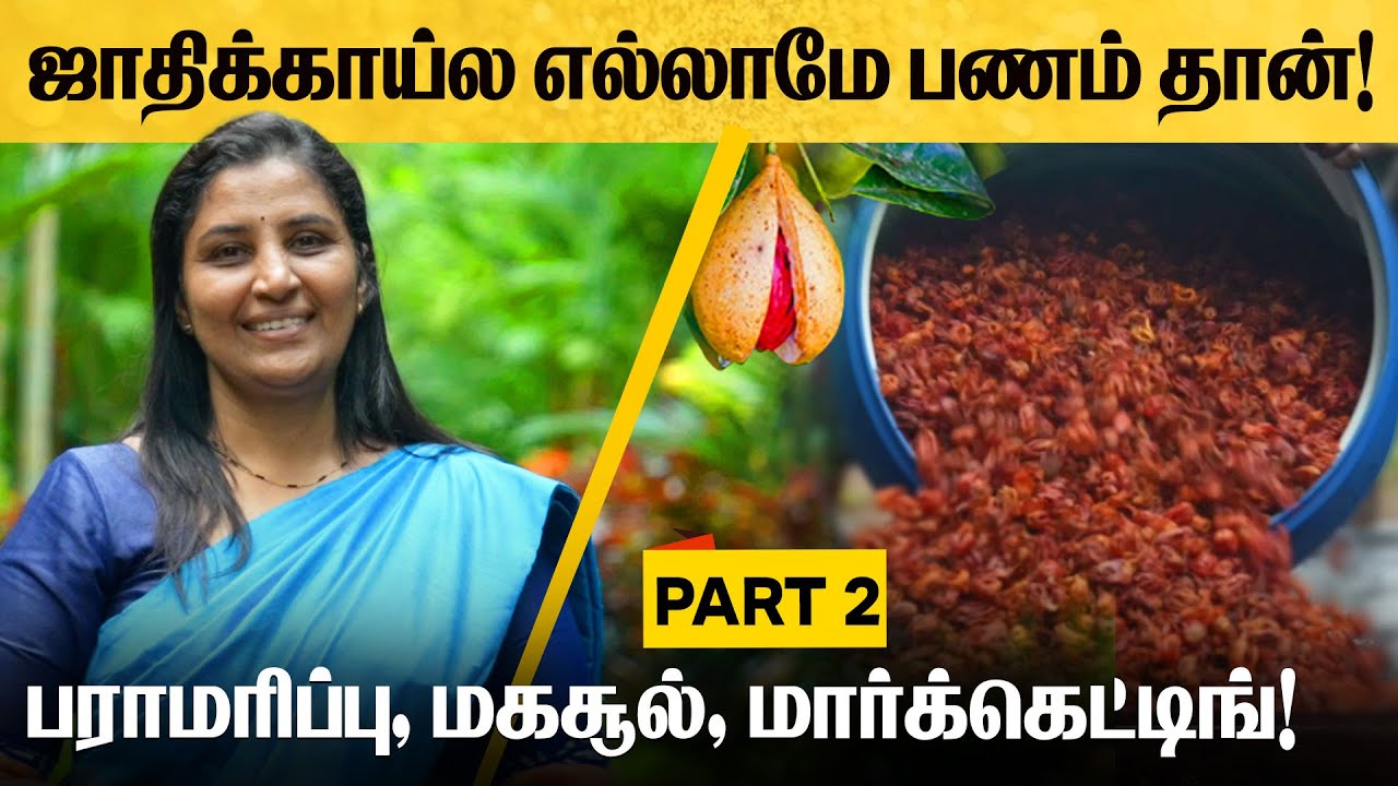 ஜாதிக்காய் பராமரிப்பு, மகசூல், மார்க்கெட்டிங் A to Z | National Awardee Sopna Ciby Kallingal