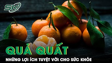 Quả Quất: Những Lợi Ích Tuyệt Vời Cho Sức Khỏe | SKĐS
