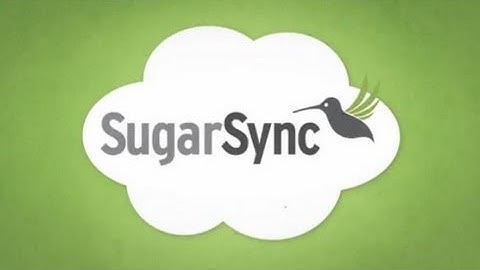 SugarSync [iPad] Video review by Stelapps