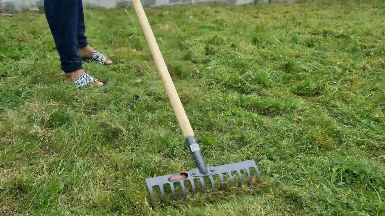ASMR Mowing Tall Grass Using Only a Wireless Mowing Machine | Oddly Satisfying lawn Mowing