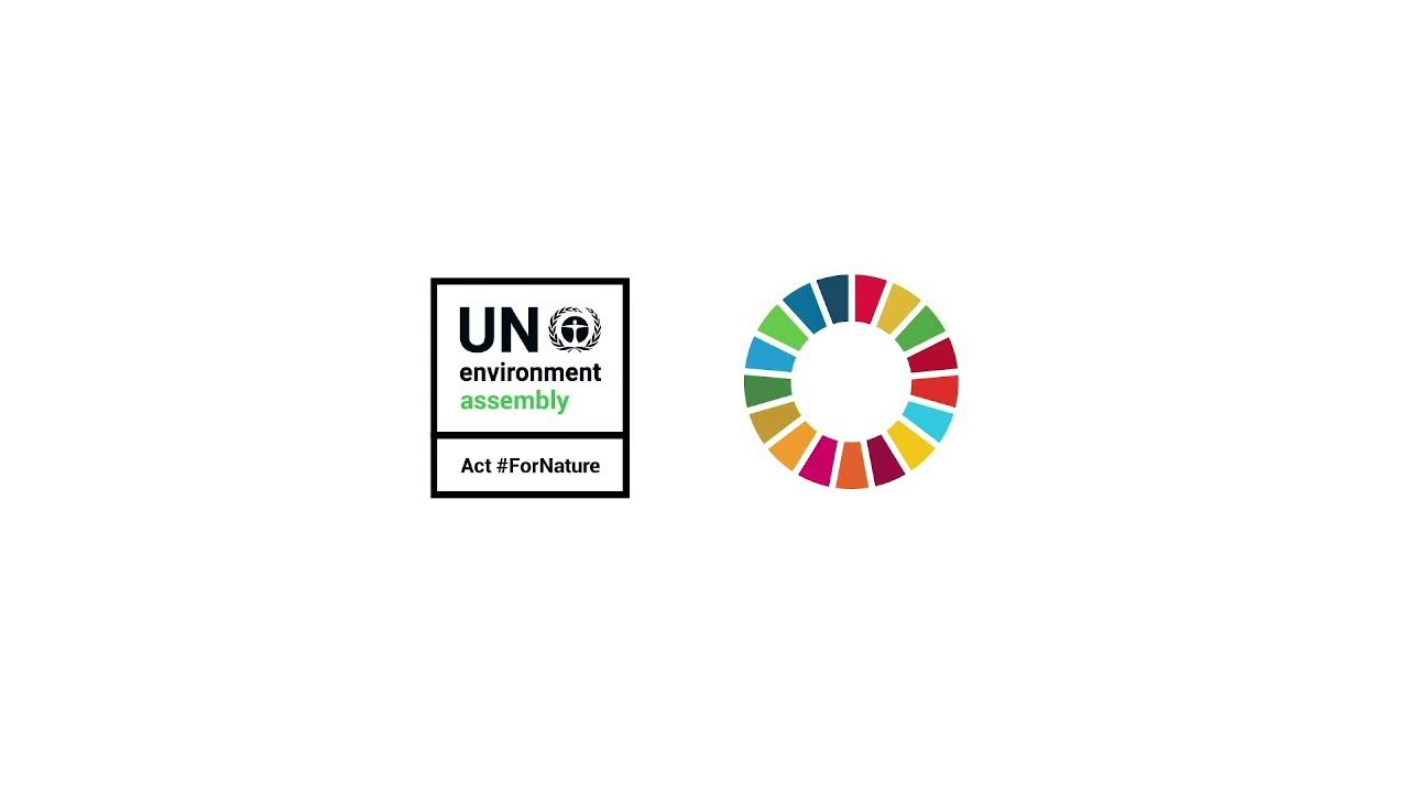 UNEA 5.2 Test Arabic