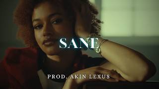 Afrobeat Instrumental X Bnxn Afrobeat Type Beat 2026 - Sane Free For Profit