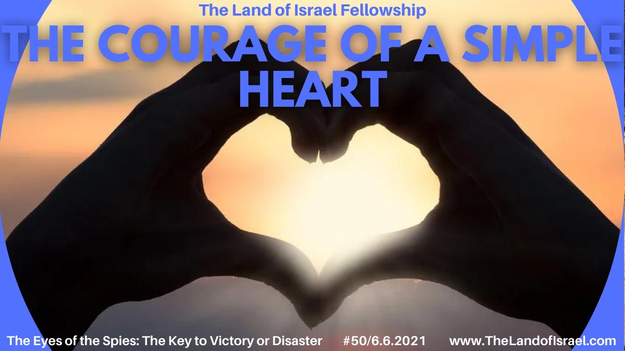 The Courage of a Simple Heart - Ari Abramowitz: The Land of Israel Fellowship