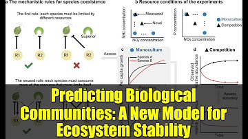 Predicting Biological Communities: A New Model for Ecosystem Stability