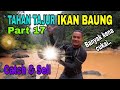 Tahan Tajur Ikan Baung (Part 17)