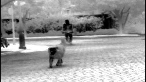 clip on thermal imager www.x20.org