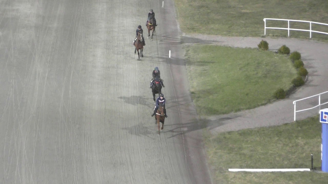 2020 03 25 licens montélopp