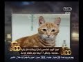 #ممكن شاهد?قط **ري تسلل لبريطانيا