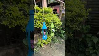 Amazing DIY Flower Pot #osmcraft 🪴🪴
