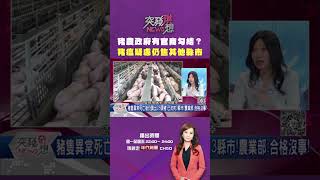 #突發琪想 #豬農 政府有 #官商勾結 ?#非洲豬瘟 疑慮仍售其他縣市