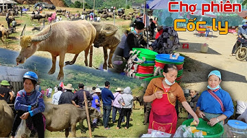 Khám phá chợ phiên Cốc Ly chợ trâu lớn nhất Tây Bắc | Dấu Chân Vùng Cao