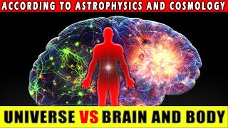 Are We Stardust with Brains Build Like the Universe - Compositon and Structure