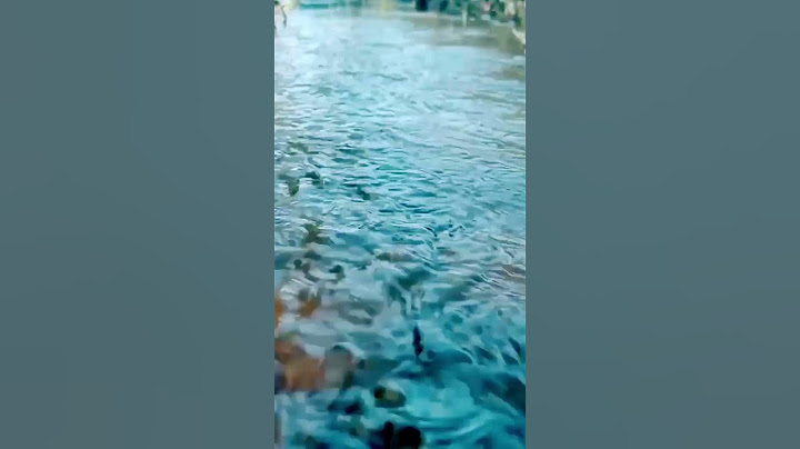 sound of water 💧💦 #susesi #wathedreamstate #wather #wather_news #ses #suscribete